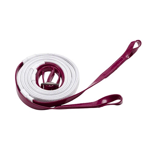 RAC2100 CEWH-01